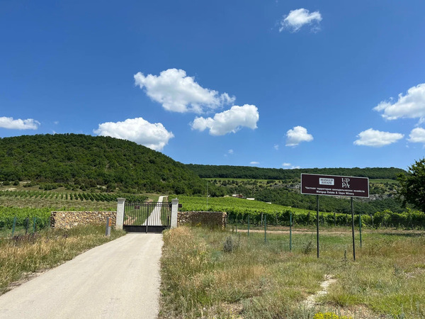 Винодельня Павел Швец.jpg